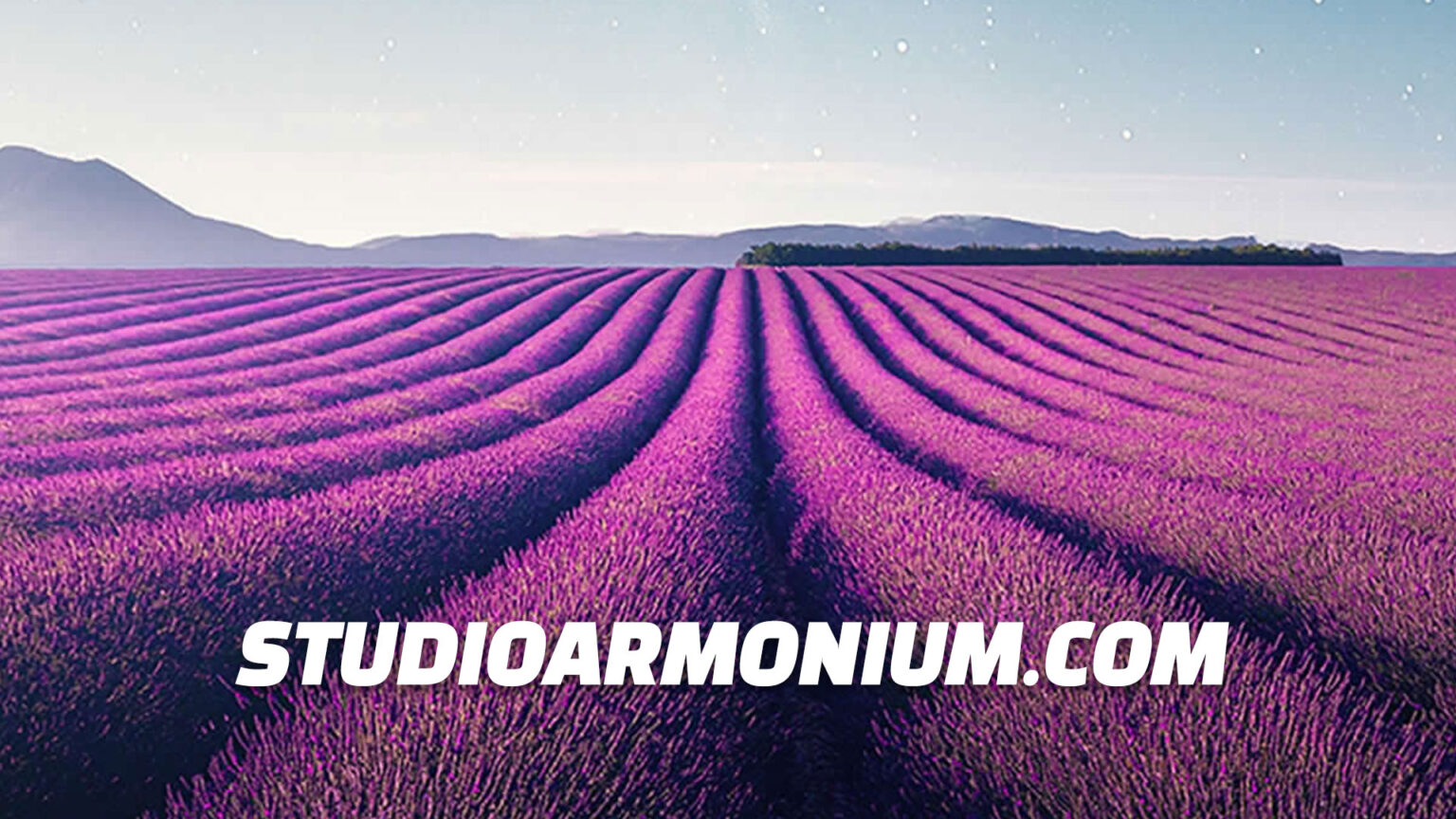 Agenzia Grafica Pavia